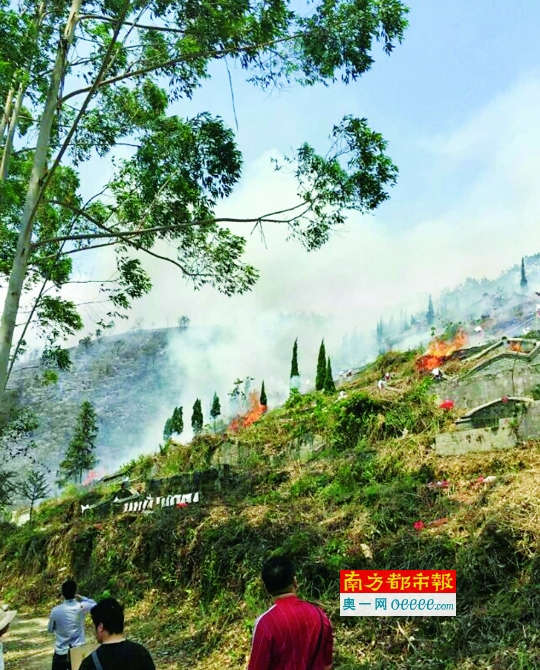 昨日，高明更合镇飞凤山陵园突发大火。目击者供图