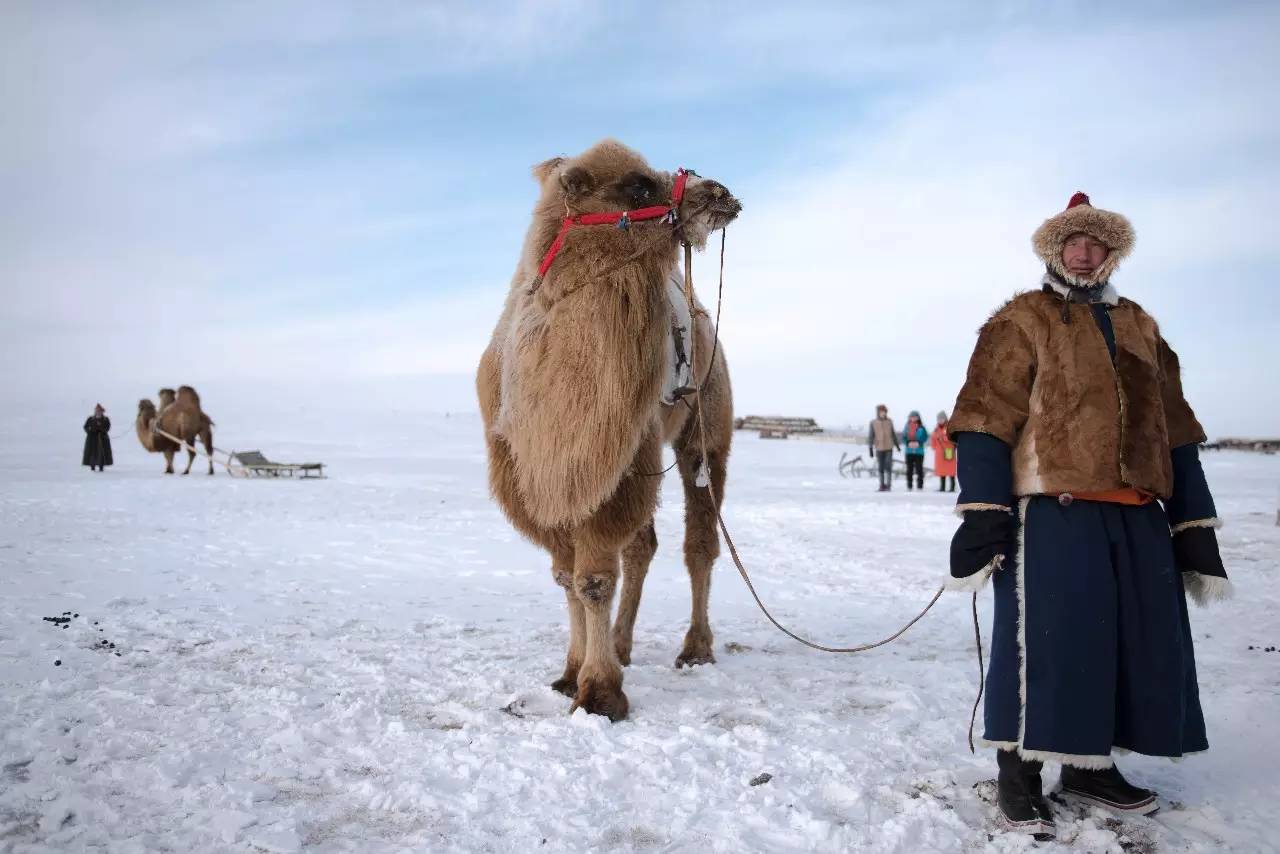 【内蒙古额济纳旗--沙漠里的骆驼队摄影图片】内蒙古额济纳旗风光摄影_糊涂印象_太平洋电脑网摄影部落