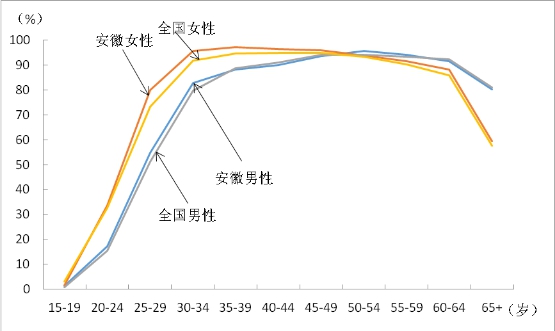 中国人口年龄结构图_农村人口年龄比例
