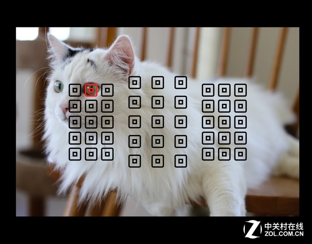 中端单反新高度佳能EOS 80D全面解析