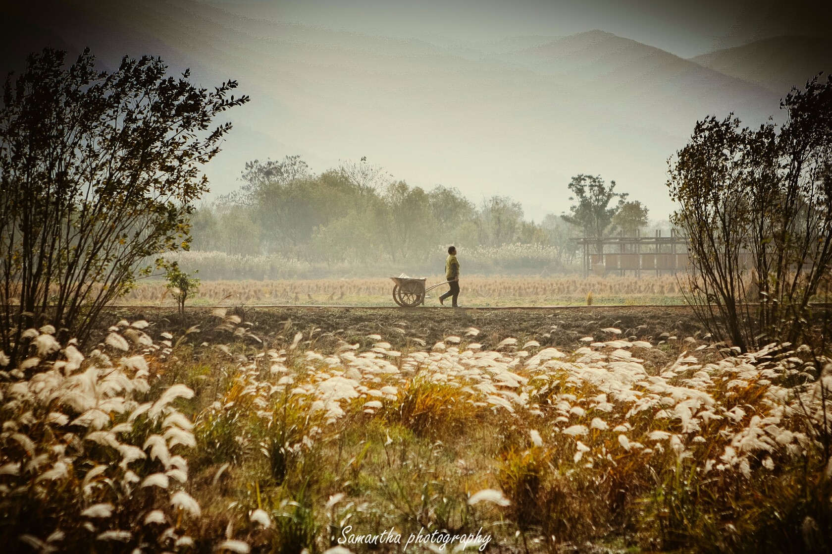 杭州自驾1.5h直达的田园牧歌生活 有景致还有