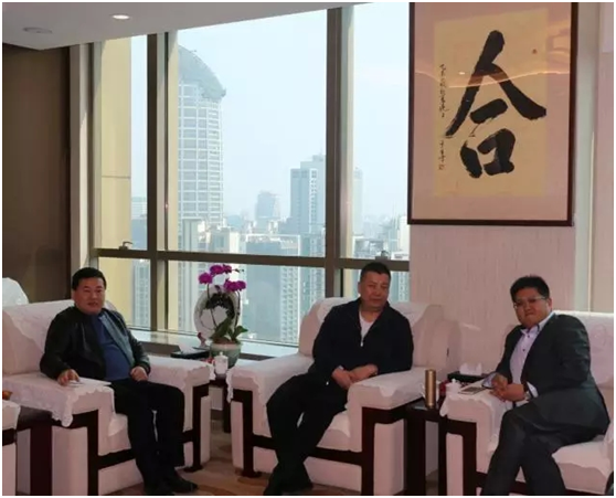 崇明县财政局副局长王成一行来访通江投资集团