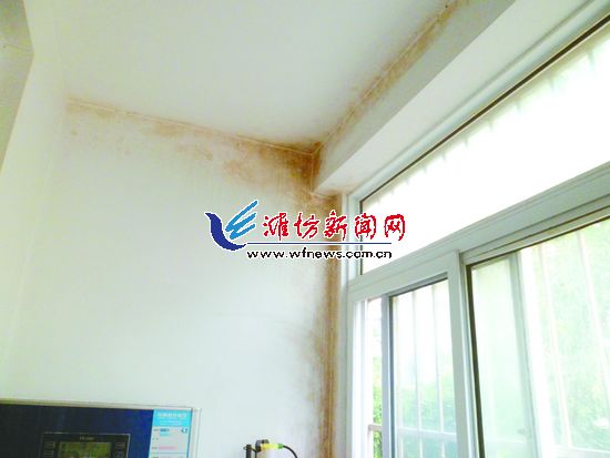 潍坊杏苑小区几十家卧室阳台发霉 地下室渗水