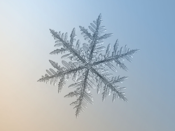 美图150108:镜头下的雪花＋致美丽到令人心碎！