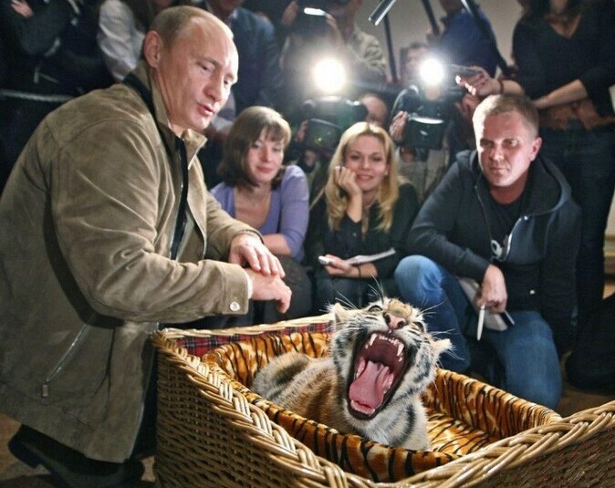 各国政要宠物情缘:普京养虎最霸气 - 4G视界