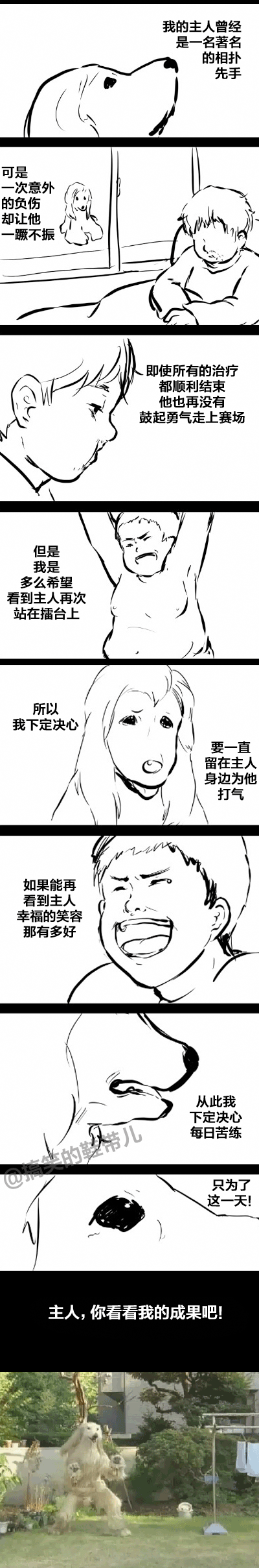 [gif动图]狗狗永远都是人类的好朋友 看完感动哭了