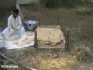 [gif动图]阿三的世界:挡不住的脑洞 开不完的外挂