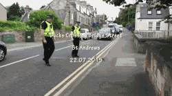 动图150729:暖心英国警察 护送鸭子过马路