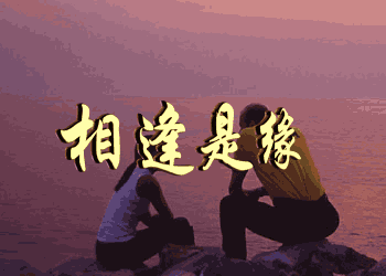 晚FUN来了151119:美剧随时换主角 国剧换个台他还是主角