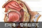 何洁赫子铭大婚将近 再曝浪漫婚纱照《高清大图》