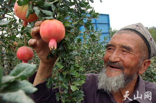 新加坡酒店_新加坡旅游景点_新加坡2012人均收入(2)