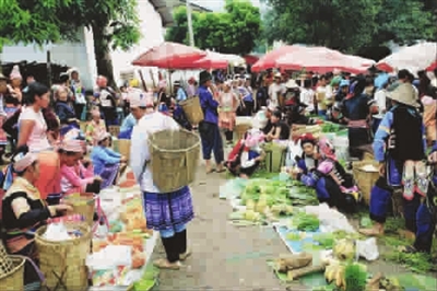 烟雨迷蒙,元阳看梯田