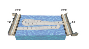 花425万元建的鱼道洄游的香鱼会喜欢吗