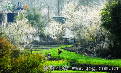 三月的小雨 今夜要淅沥沥地下省内大部分地区