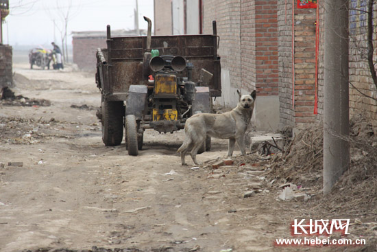 蔡世东说，这条路就是他们下一步要给村民修的路。长城网 贺宏伟 摄
