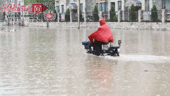????为了回家,只能冒险涉水前行。(燕赵都市报记者赵海江 摄)