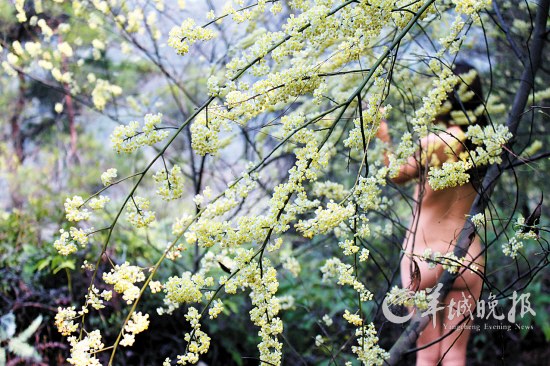 　　一位女游客在南丹山体验“天体森林浴”　　曾令华 摄