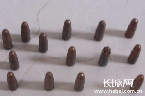 赵县一村民将一支气枪、14发子弹主动交给警