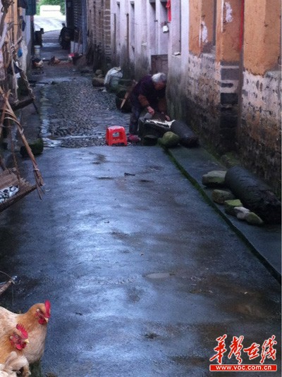 农村人居环境亟待改善