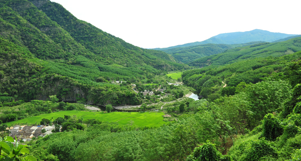 　　鹦哥岭位于海南岛中南部，跨白沙、琼中、五指山、乐东、昌江等五个市县，是海南陆地面积最大的保护区。(南海网记者秦彦摄)