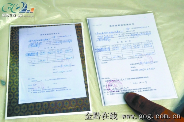 农业银行收入证明书(3)