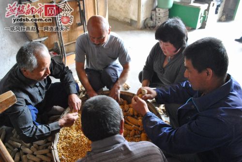 赵灿和盲人四兄弟一起做农活。