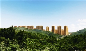 公园大地实景图