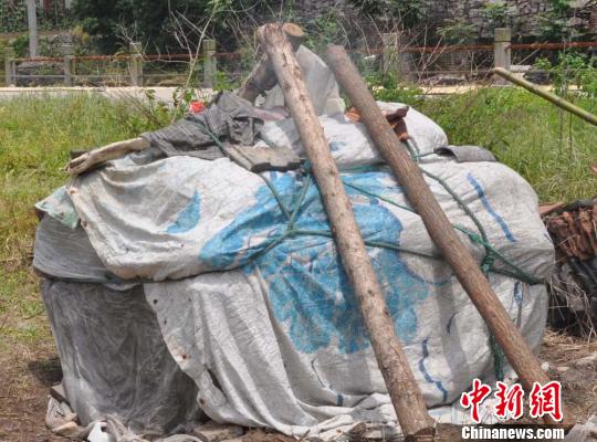 图为一袋一袋摞起来的新鲜浙贝母正在用硫磺熏蒸,顶上冒着难闻的烟。