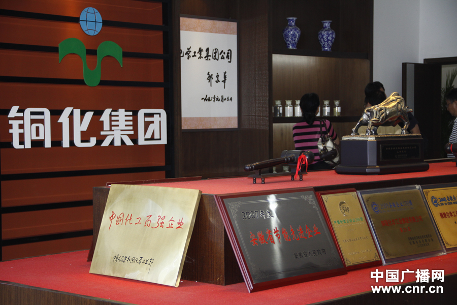 金红叶纸业有限公司_丹阳长丰纸业员工收入(3)