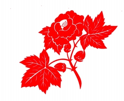 木芙蓉