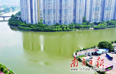 珠江水重回v类多条河涌复臭