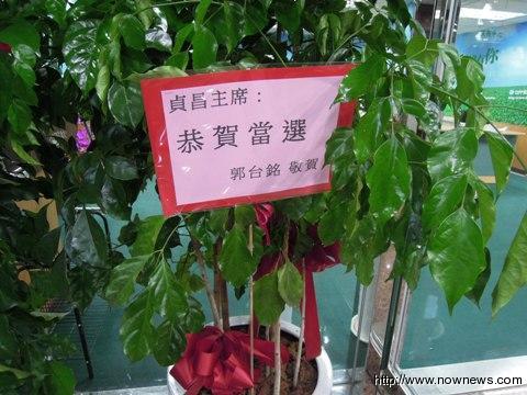 鸿海集团董事长郭台铭低调送上一盆绿色盆栽祝贺苏贞昌就职。（图片来自台媒）