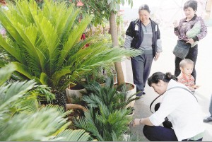 一家老小逛花街。记者杜文蕾摄