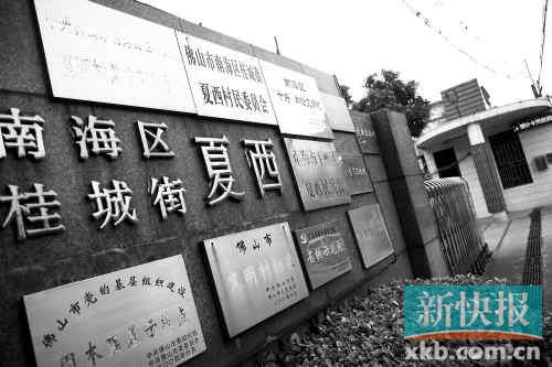 ■夏西村委会门前密密麻麻地挂满各种