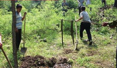 北京游客到河北山村放生数千条蛇引当地恐慌(图)北京,河北