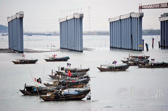 沿江高速跨海桥横在一公里多长的海上，密密麻麻三四百个桥墩，阻碍着前海海水交换