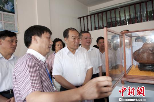 图为7月19日江西省委书记苏荣在广丰县木雕街视察。周振宇 摄 周振宇 摄