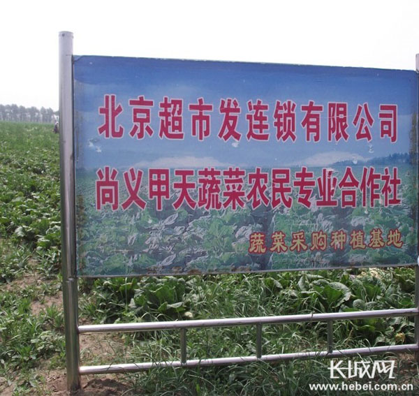 标准稠度用水量_农村人均用水量(2)