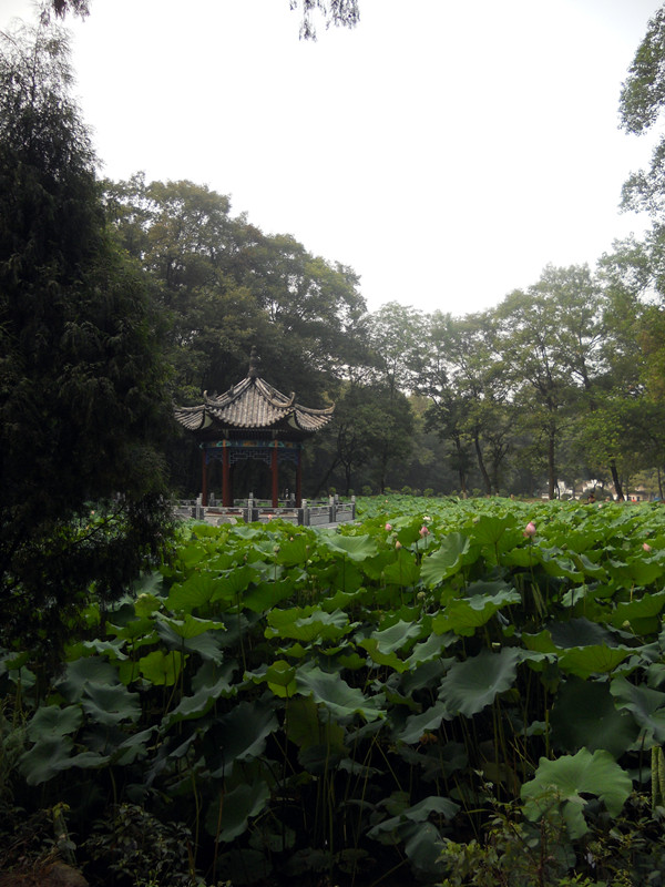 古隆中风景区优美景色