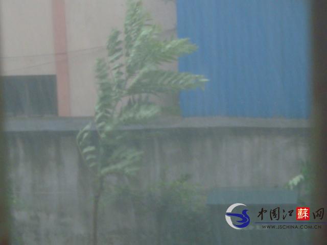 狂风暴雨冰雹突袭南京 多处树枝被刮断