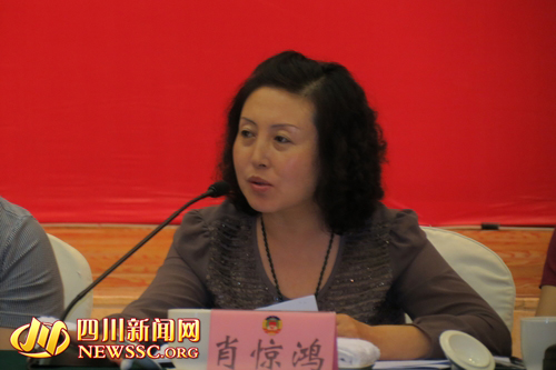 博士肖惊鸿发言