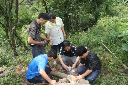 丰都仁沙镇有多少人口_丰都人口变化(2)