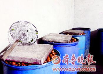 　　桶里浸泡着已经变红的枣。