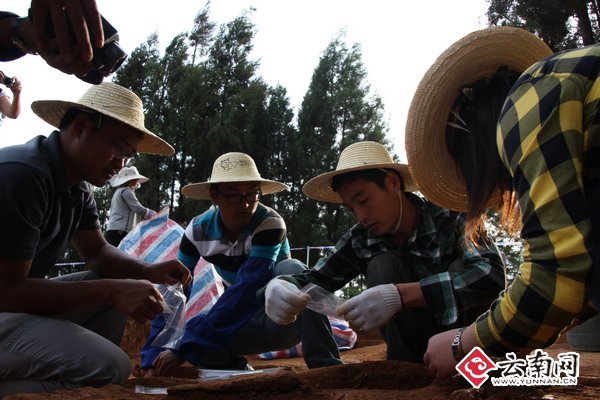 云南陆良县薛官堡墓地考古发掘取得重大收获