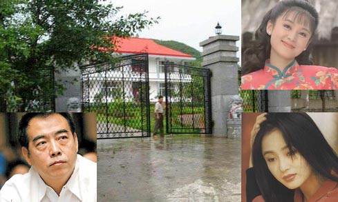 ????陈凯歌陈红江西豪宅由陈红的表哥看守着