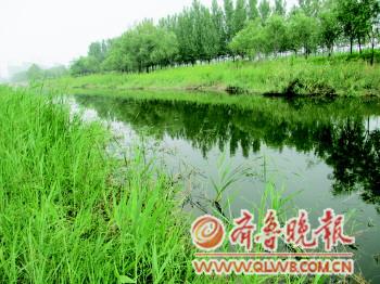 　　/沟渠边弥漫着一股恶臭。