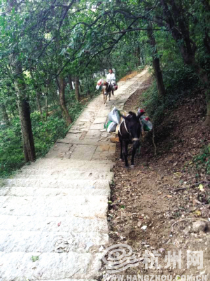 北高峰游步道整修预计两个月左右完工