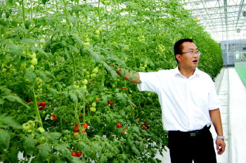 冷链物流示范工程破解三大难题