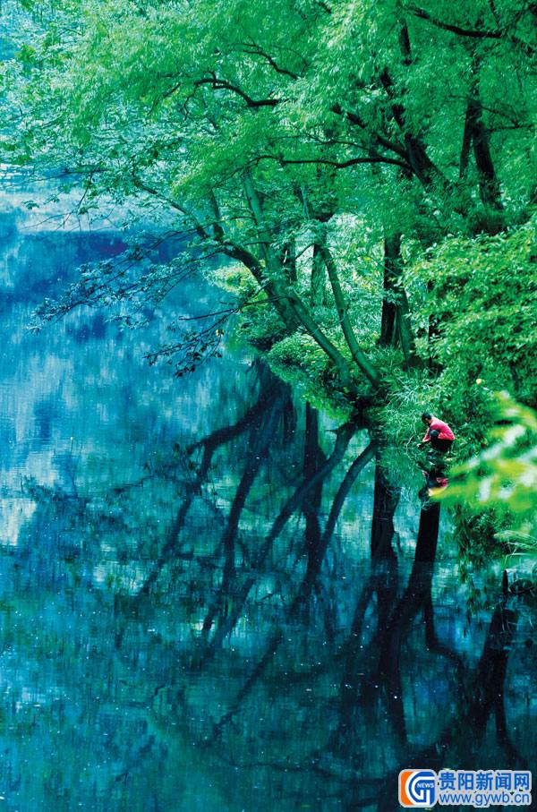 爽爽的贵阳城市品牌催热 清凉经济渐成大气