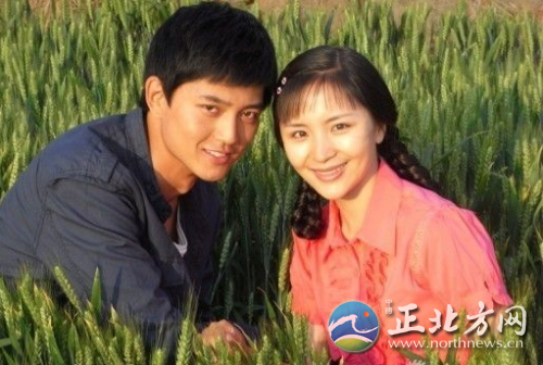 《葵花进城》全集剧情 分集介绍(1 30)